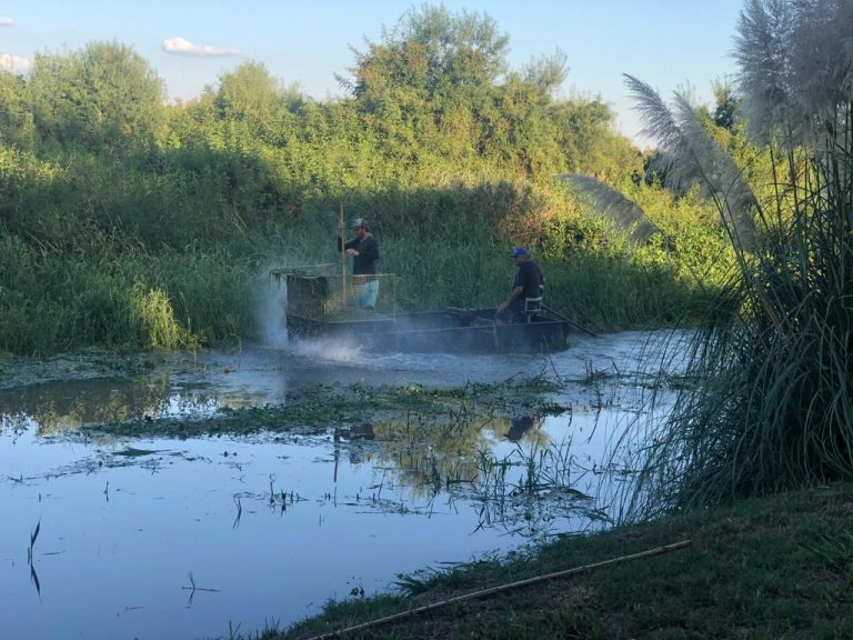 EL MUNICIPIO TRABAJA EN LA CORTADA SAUCE VIEJO DE CALLE DERQUI