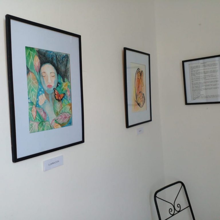 MUESTRAS ARTÍSTICAS EN EL MUSEO