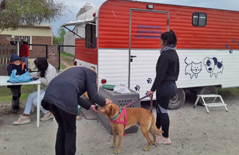 Campaña de castraciones recorriendo los barrios