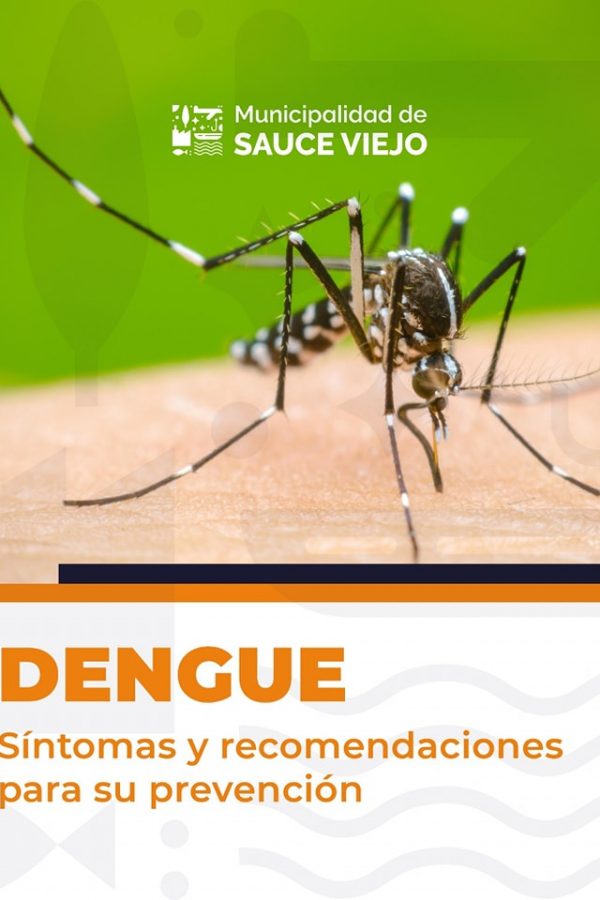 EVITEMOS LA PROLIFERACIÓN DEL DENGUE