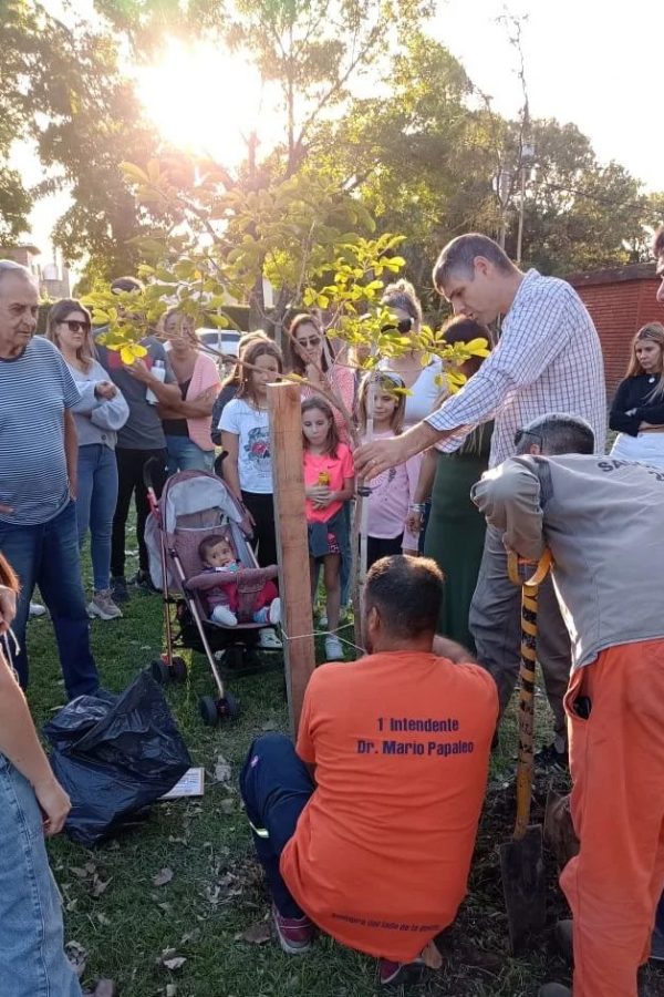 Plan de forestación municipio/vecinos