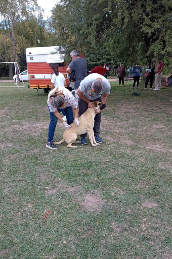 Numeros altamente positivos de «La Muni en tu barrio»