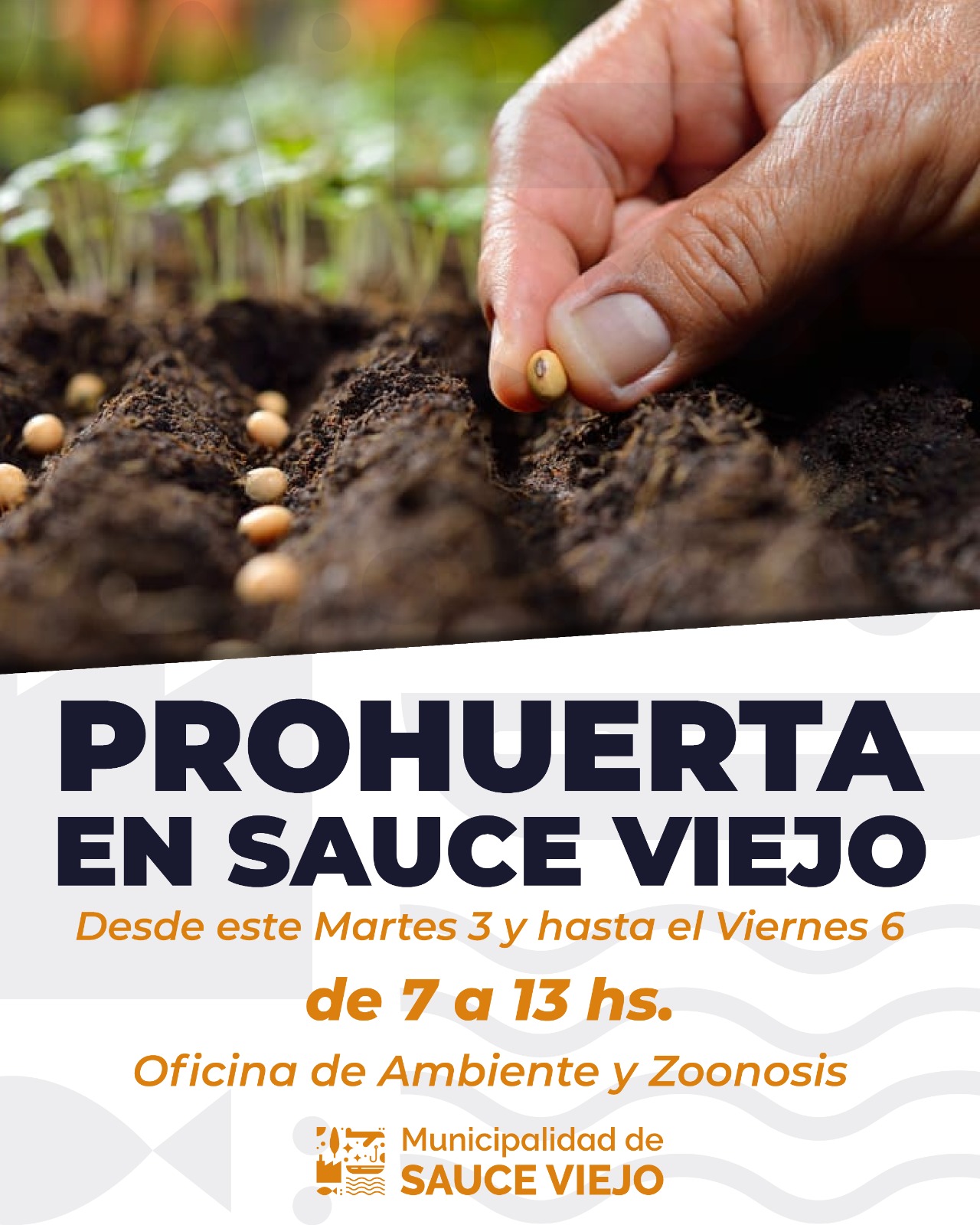 PROGRAMA PROHUERTA EN SAUCE VIEJO: ¡APURATE A RETIRAR LAS SEMILLAS!