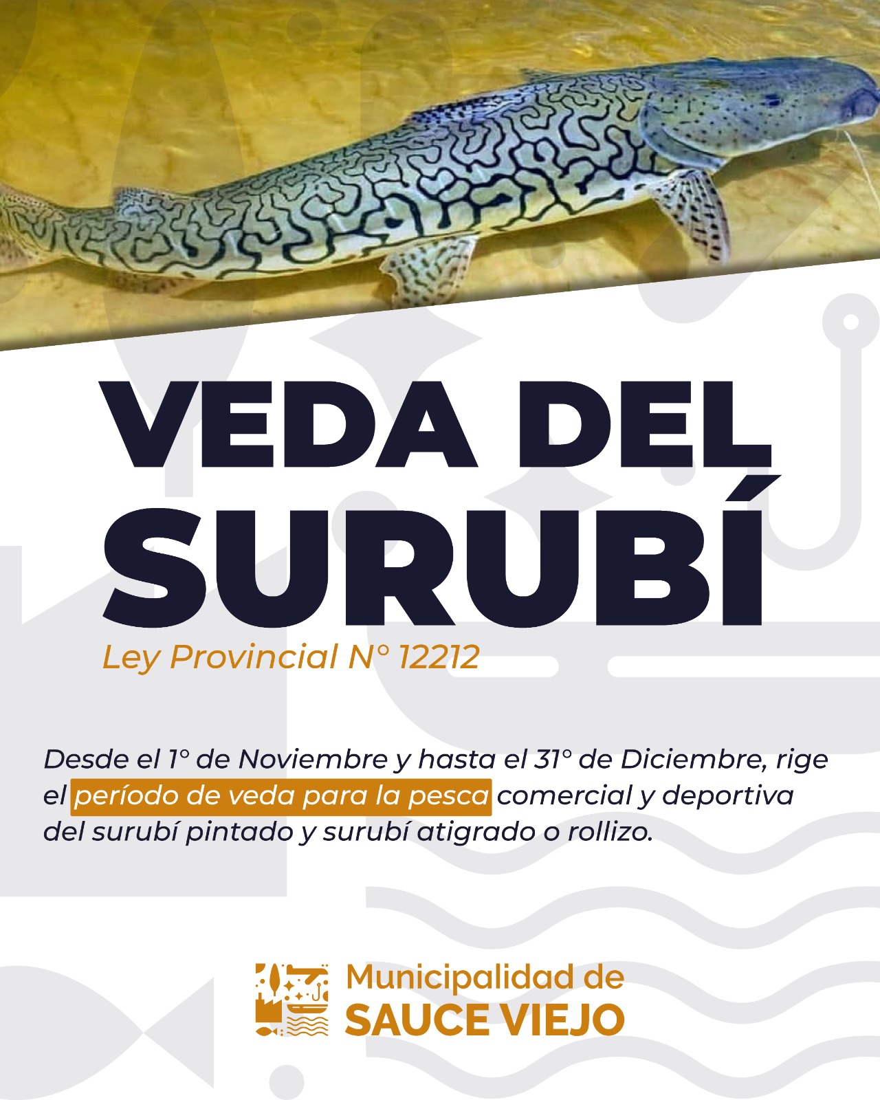 ¡DISFRUTAR DE LA PESCA SIEMPRE RESPETANDO LA LEGISLACIÓN!