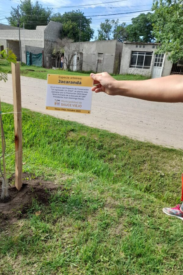 LA MUNI EN LA ESCUELA: ESTE JUEVES SEGUIMOS CON EL PROGRAMA «UN EGRESADO: UN ÁRBOL»