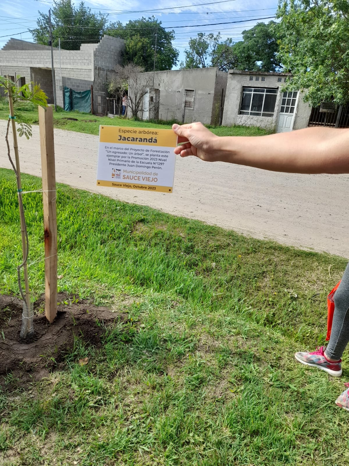 LA MUNI EN LA ESCUELA: ESTE JUEVES SEGUIMOS CON EL PROGRAMA «UN EGRESADO: UN ÁRBOL»