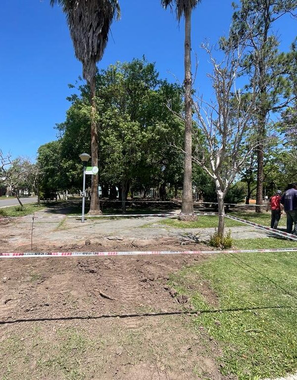 CONTINÚA LA PUESTA EN VALOR DE LA PLAZA BERNARDINO RIVADAVIA