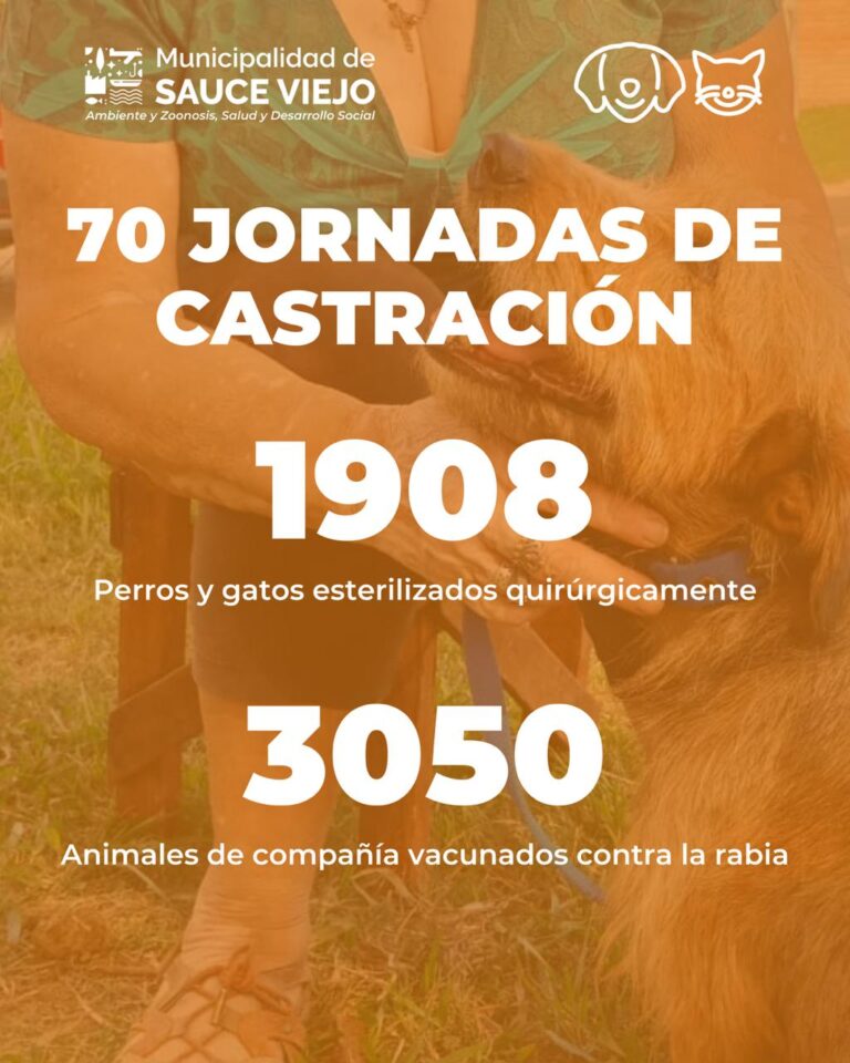 SE CUMPLEN LAS 70 JORNADAS DE CASTRACIÓN QUIRÚRGICA GRATUITAS EN SAUCE VIEJO