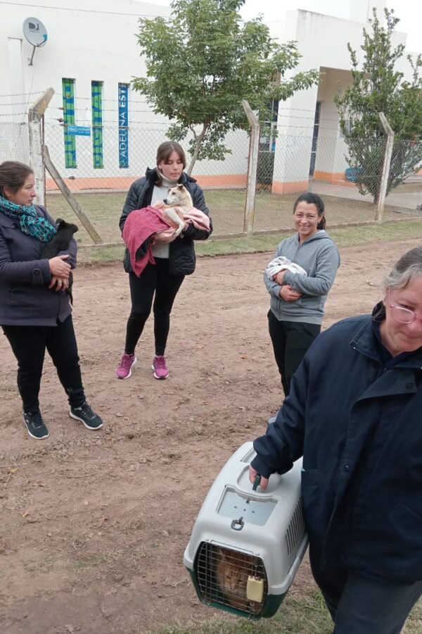 OTRA GRAN JORNADA DE ATENCIÓN VETERINARIA BÁSICA