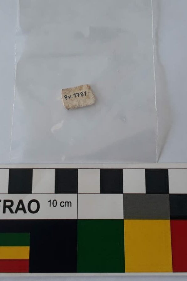 RESTITUYERON PATRIMONIO PALEONTOLÓGICO AL MUSEO MONTE DE LOS PADRES