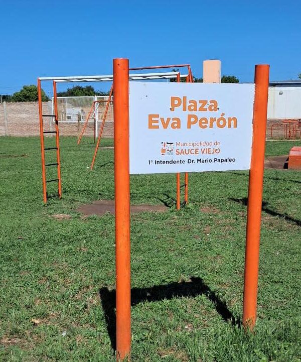 AVANZAMOS CON LA PLANTACIÓN DE ÁRBOLES