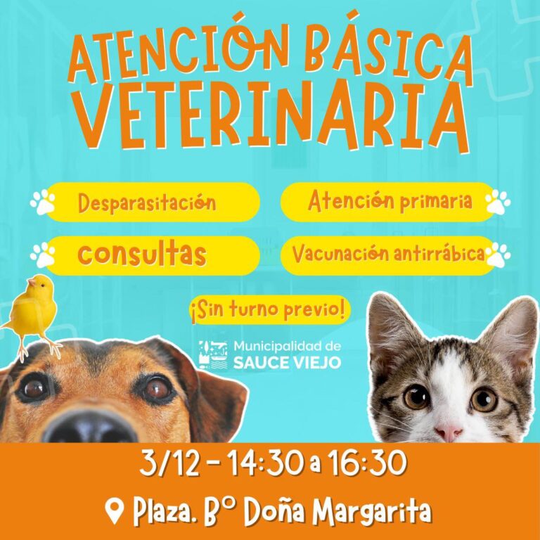 ATENCIÓN BÁSICA VETERINARIA EN BARRIO DOÑA MARGARITA