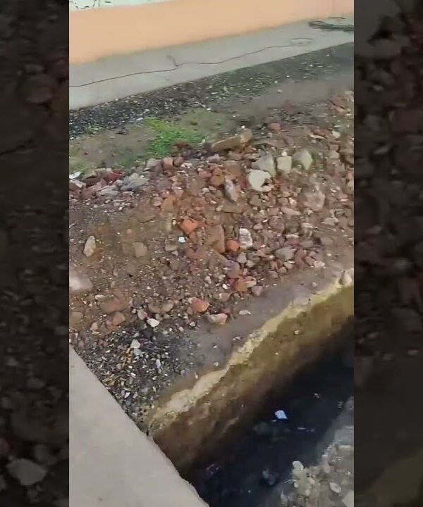 GESTIÓN PAPALEO; COMPROMETIDA CON VECINAS Y VECINOS DE LA CIUDAD