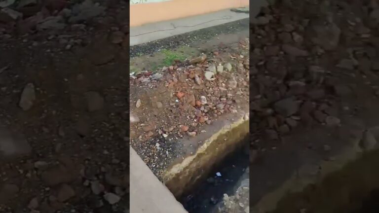 GESTIÓN PAPALEO; COMPROMETIDA CON VECINAS Y VECINOS DE LA CIUDAD