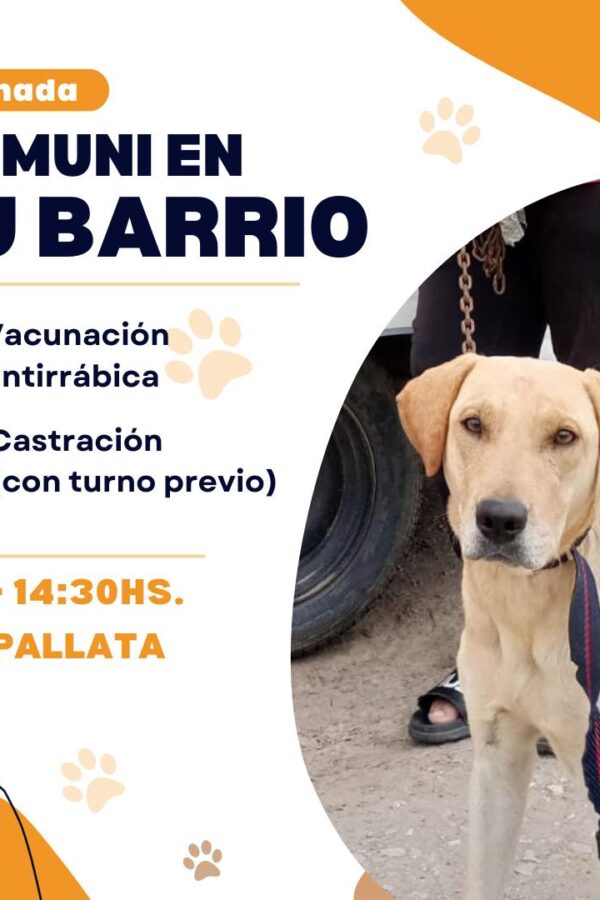 «LA MUNI EN TU BARRIO»: ESTE MIÉRCOLES EN EL BARRIO USPALLATA