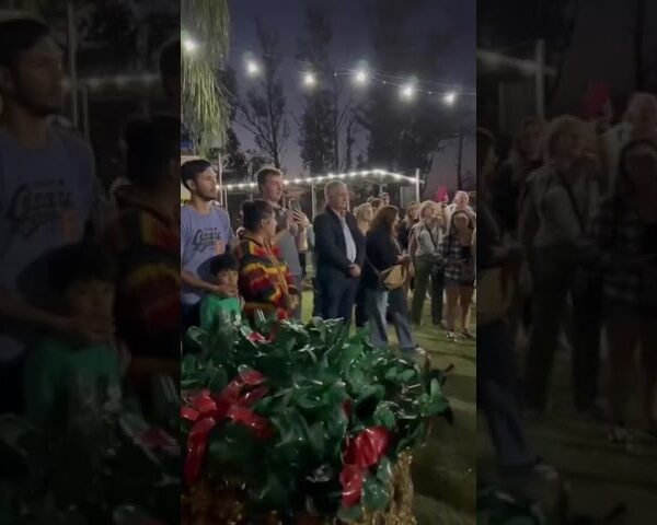 SE ENCENDIÓ LA NAVIDAD EN LA MUNICIPALIDAD DE SAUCE