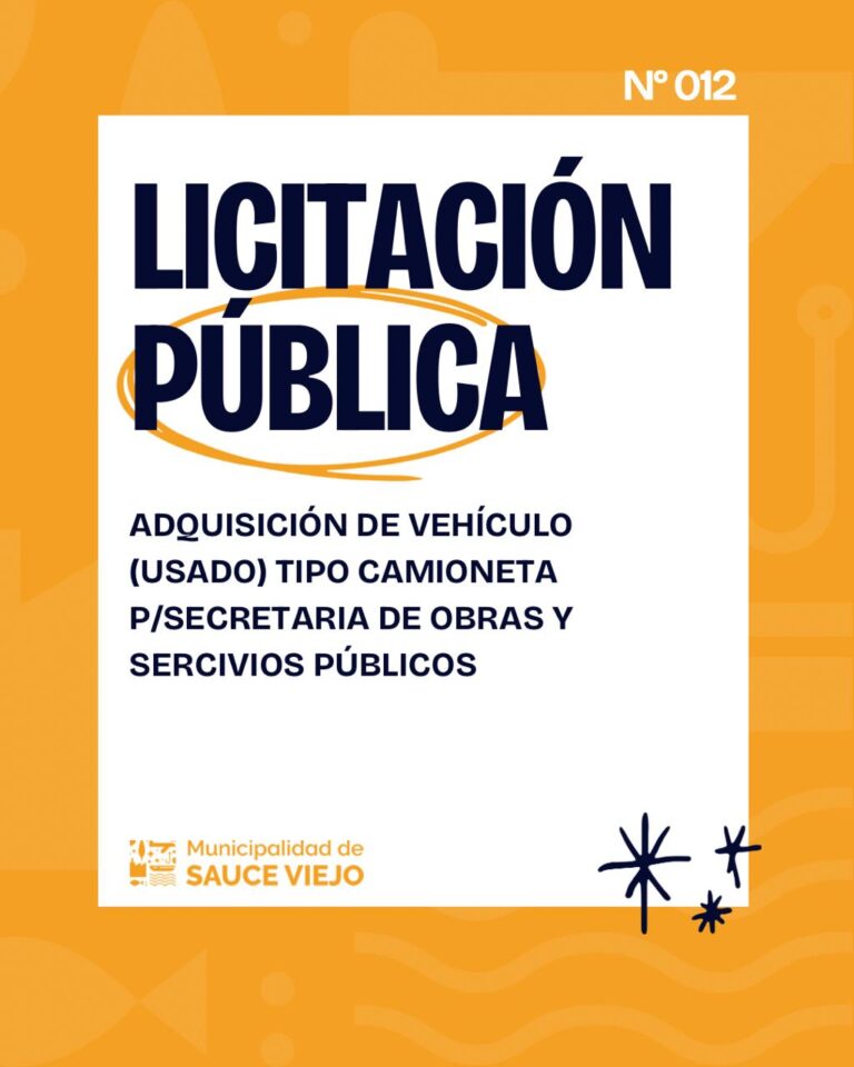 LICITACIÓN PÚBLICA N° 12