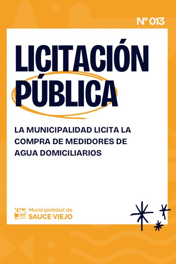 LICITACIÓN PÚBLICA N° 13