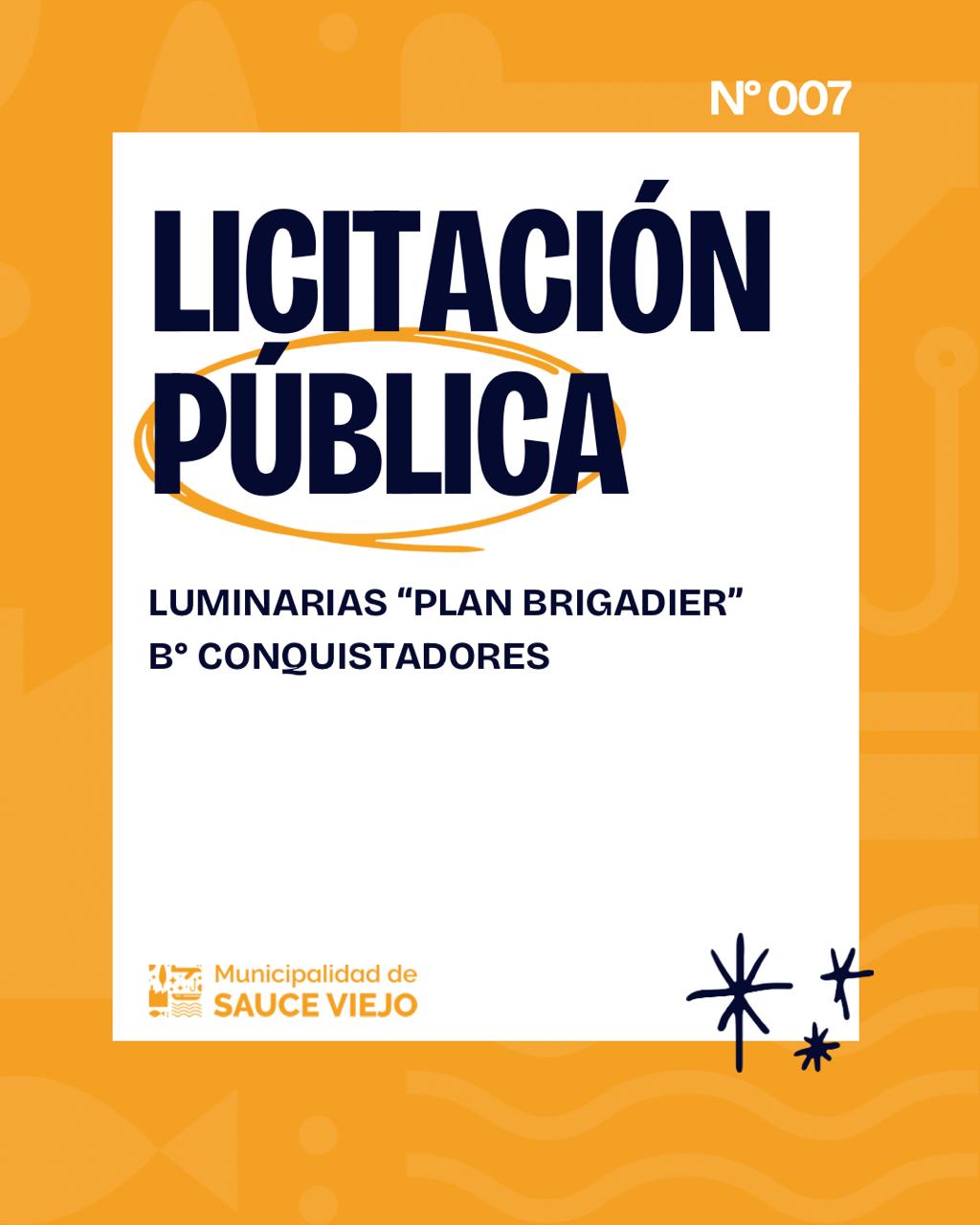 LICITACIÓN PÚBLICA N° 7