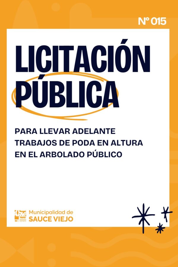 LICITACIÓN PÚBLICA N° 15