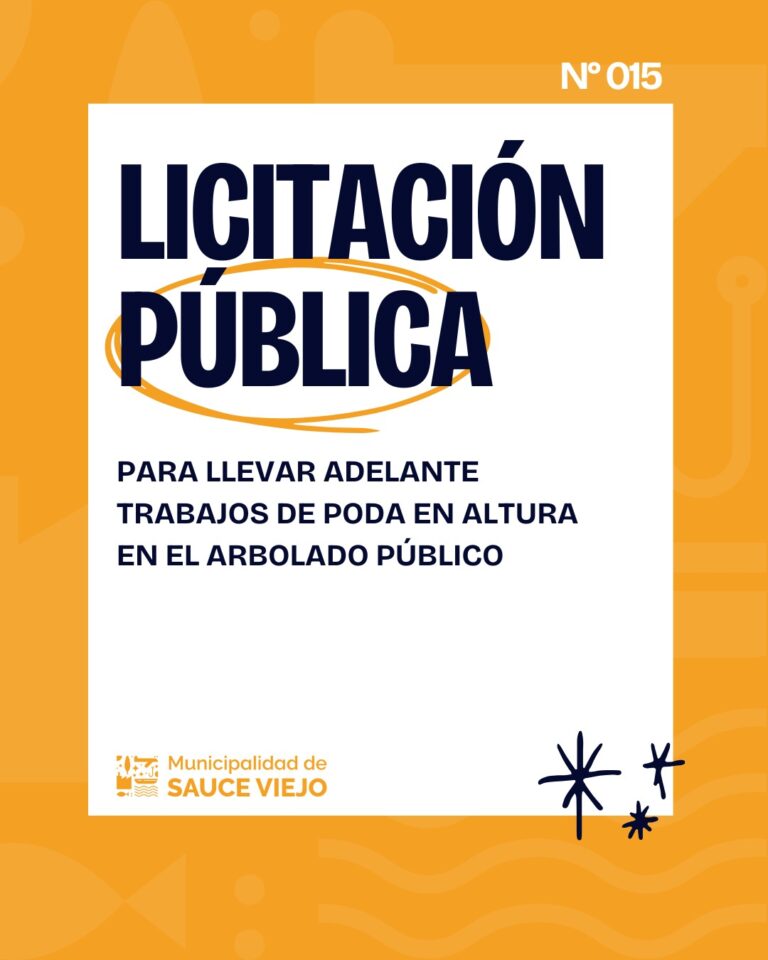LICITACIÓN PÚBLICA N° 15