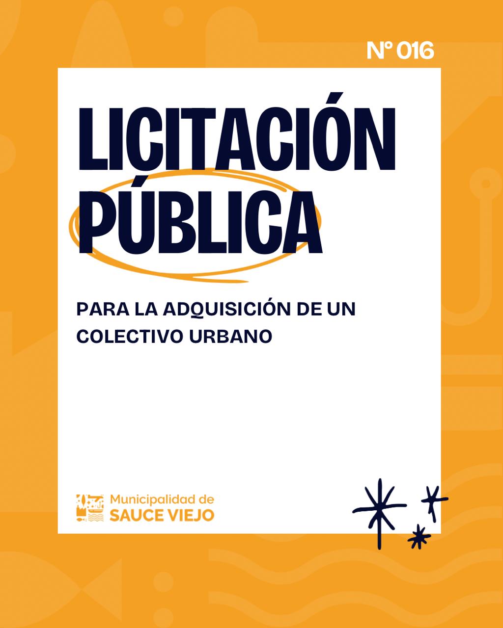 LICITACIÓN PÚBLICA N° 16