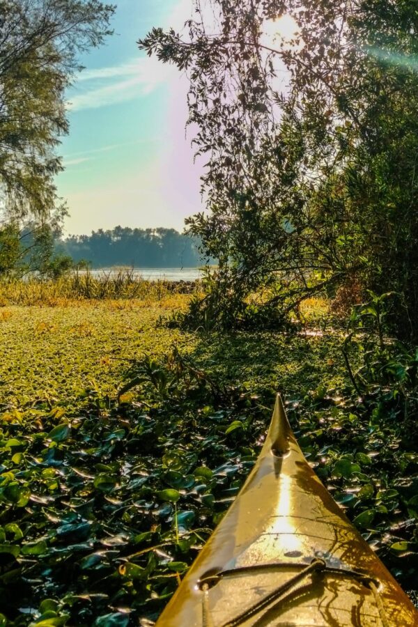 Sauce Viejo te espera…!