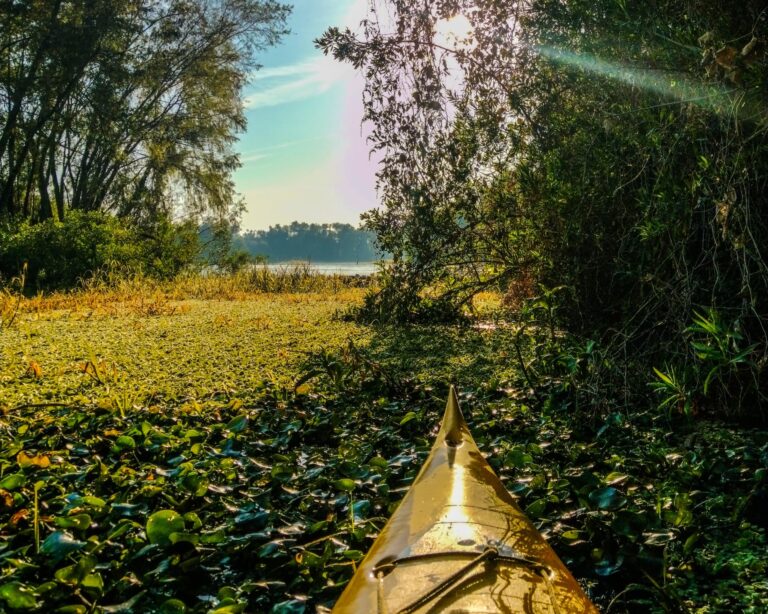 Sauce Viejo te espera…!