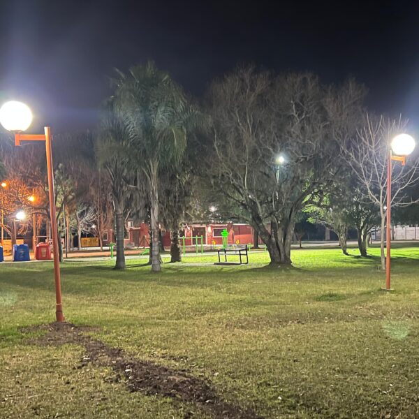 SE REPUSIERON LUMINARIAS Y CABLEADO EN DIFERENTES PUNTOS DE SAUCE VIEJO