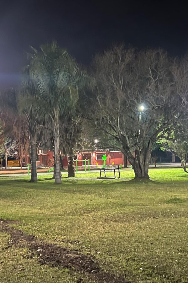 SE REPUSIERON LUMINARIAS Y CABLEADO EN DIFERENTES PUNTOS DE SAUCE VIEJO