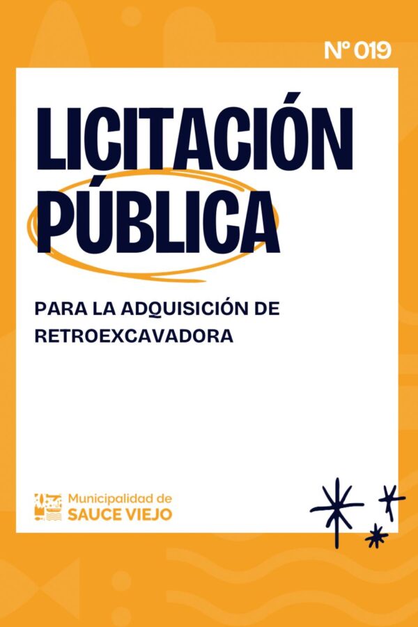 LICITACIÓN PÚBLICA N° 19