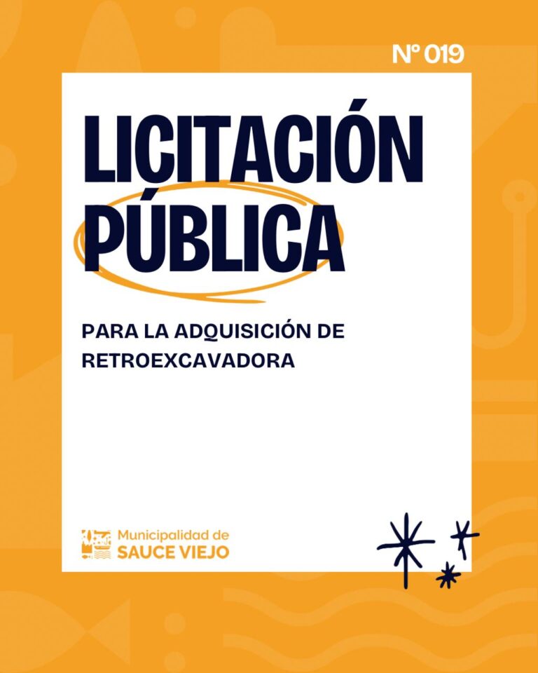 LICITACIÓN PÚBLICA N° 19